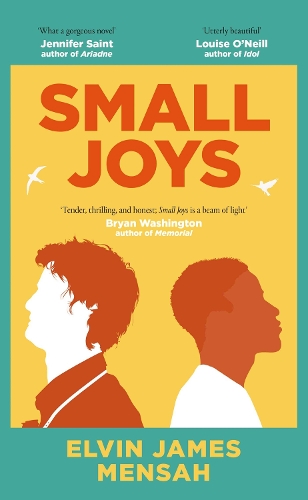 Бумажная книга «Small Joys: A Buzzfeed 'Amazing New Book You Need to Read ASAP'», автор Элвин Джеймс Менса - фото №1