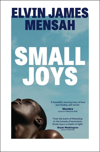 Бумажная книга «Small Joys: A Buzzfeed 'Amazing New Book You Need to Read ASAP'», автор Элвин Джеймс Менса - фото №1