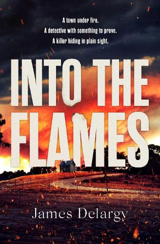 Бумажная книга «Into the Flames: The scorching new summer thriller», автор Джеймс Деларги - фото №1
