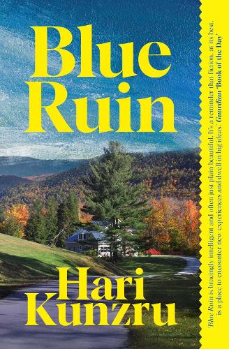 Паперова книга «Blue Ruin», автор Харі Кунзру - фото №1