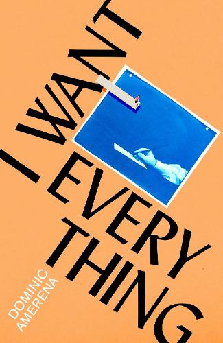 Бумажная книга «I Want Everything», автор Доминик Амерена - фото №1
