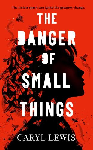 Паперова книга «The Danger of Small Things: The YA debut from an award-winning and bestselling Welsh storyteller», автор Керіл Льюїс - фото №1