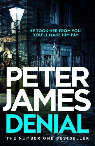 Бумажная книга «Denial: A gripping thriller filled with twists and turns», автор Питер Джеймс - фото №1