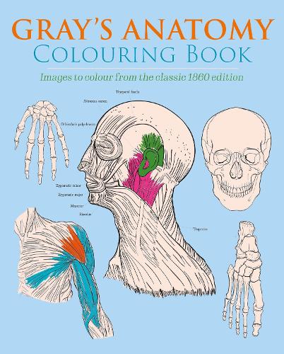 Бумажная книга «Gray's Anatomy Colouring Book: Images to Colour from the Classic 1860 Edition», автор Генри Картер - фото №1