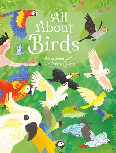 Бумажная книга «All About Birds: An Illustrated Guide to Our Feathered Friends», автор Полли Чизмен - фото №1