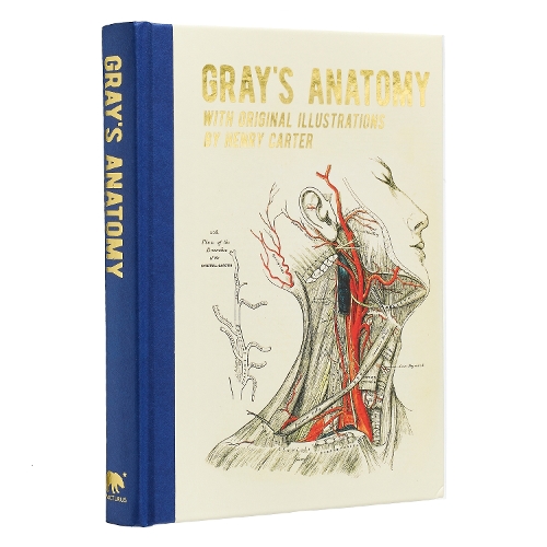 Бумажная книга «Gray's Anatomy: With Original Illustrations by Henry Carter» - фото №1