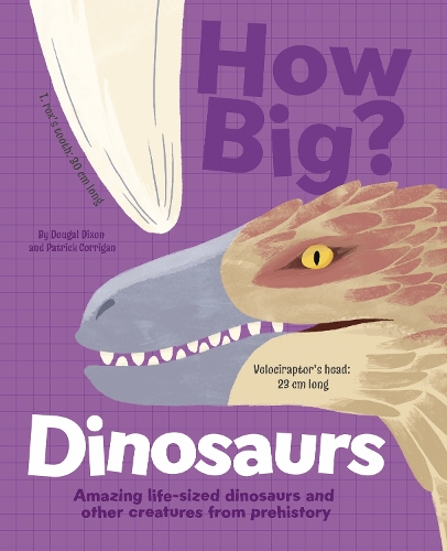 [object Object] «How Big? Dinosaurs: Amazing Life-Sized Dinosaurs and Other Creatures from Prehistory», автор Дугал Диксон - фото №1