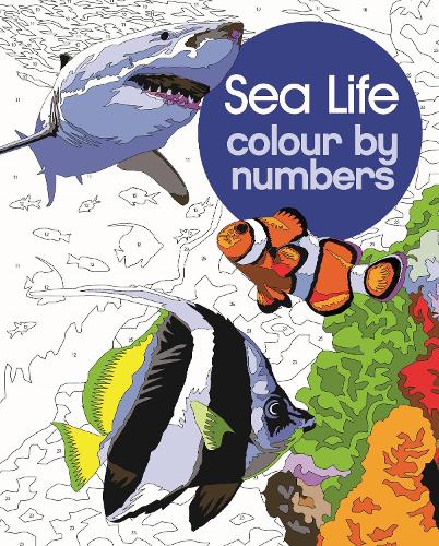 Паперова книга «Sea Life Colour by Numbers» - фото №1