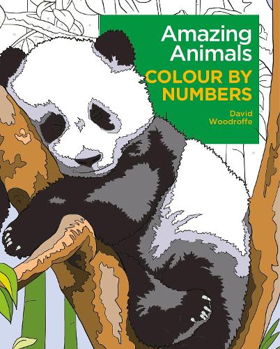 Бумажная книга «Amazing Animals Colour by Numbers», автор Дэвид Вудрофф - фото №1