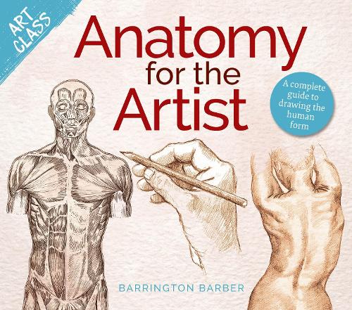 Паперова книга «Art Class: Anatomy for the Artist: A complete guide to drawing the human form», автор Баррінгтон Барбер - фото №1