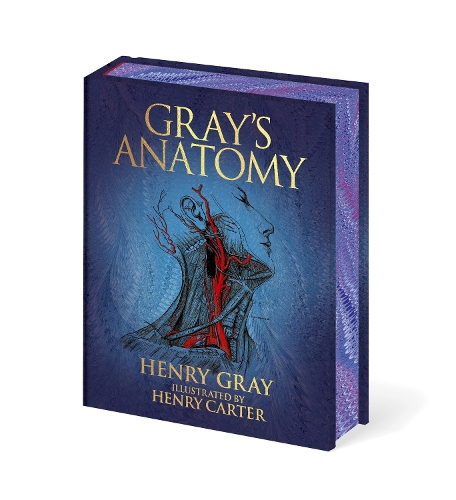 Паперова книга «Gray's Anatomy», автор Генрі Грей - фото №1
