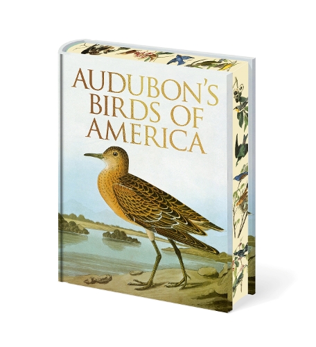 Паперова книга «Audubon's Birds of America», автор Джон Джеймс Одюбон - фото №1