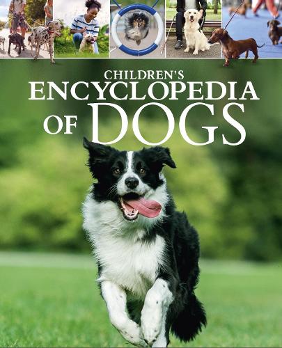 Бумажная книга «Children's Encyclopedia of Dogs: A Visual Guide to Dog Breeds, Pet Care and More!», автор Клаудия Мартин - фото №1