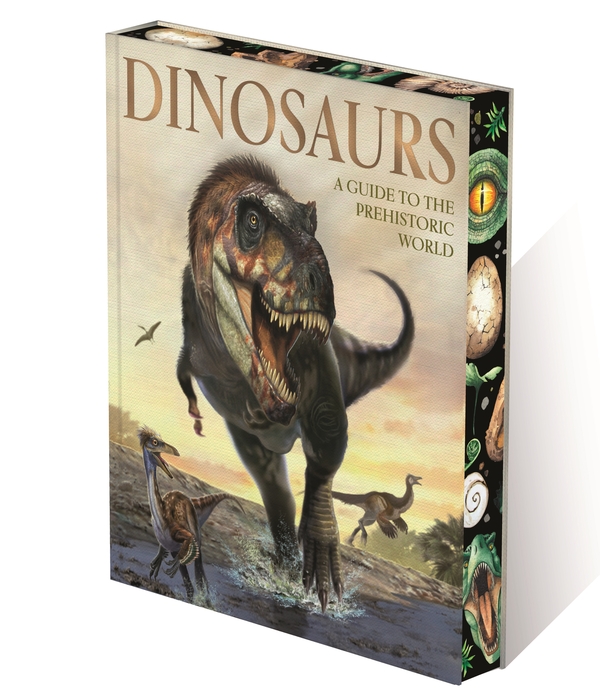 Бумажная книга «Dinosaurs: A Guide to the Prehistoric World», авторов Бен Хаббард, Клэр Хибберт, Клаудия Мартин, Лиз Майлз - фото №1