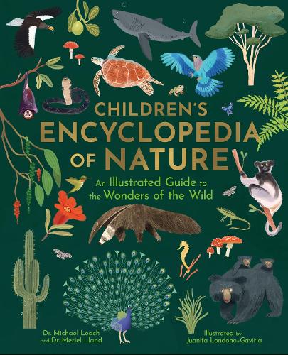 Paper book «Children's Encyclopedia of Nature: An Illustrated Guide to the Wonders of the Wild», authors Meriel Lland, Michael Leach - фото №1