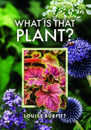 Бумажная книга «What is that Plant?», автор Луиза Бурфитт - фото №1