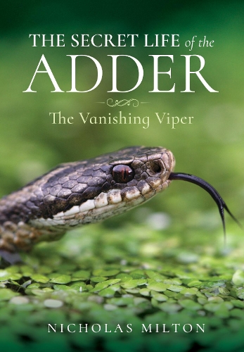 Паперова книга «The Secret Life of the Adder: The Vanishing Viper», автор Ніколас Мілтон - фото №1