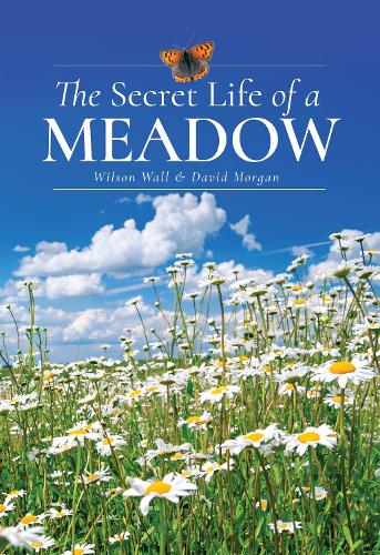 Бумажная книга «The Secret Life of a Meadow», автор Уилсон Уолл - фото №1