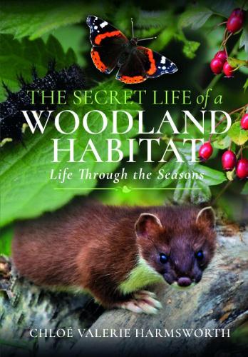 Бумажная книга «The Secret Life of a Woodland Habitat: Life Through the Seasons», автор Хлоя Валери Хармсворт - фото №1
