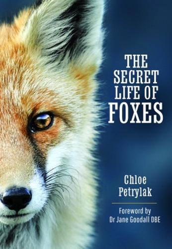 Паперова книга «The Secret Life of Foxes», автор Хлоя Петрилак - фото №1