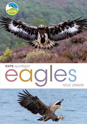 Паперова книга «RSPB Spotlight: Eagles», автор Майк Унвін - фото №1