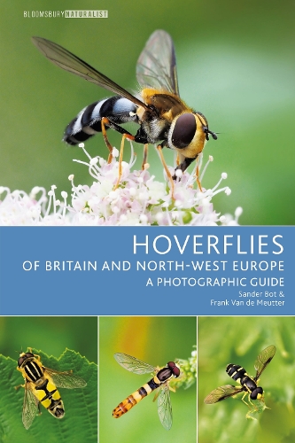 Бумажная книга «Hoverflies of Britain and North-west Europe: A photographic guide», авторов Фрэнк Ван де Мюттер, Сандер Бот - фото №1