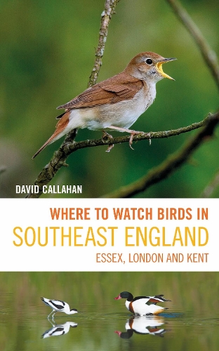Бумажная книга «Where to Watch Birds in Southeast England: Essex, London and Kent» - фото №1