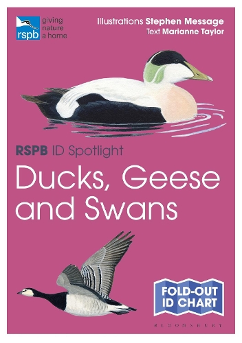 Паперова книга «RSPB ID Spotlight - Ducks, Geese and Swans» - фото №1