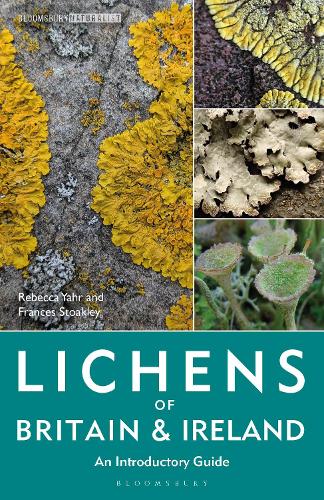 Бумажная книга «Lichens of Britain and Ireland: An Introductory Guide», авторов Фрэнсис Стоакли, Ребекка Яр - фото №1