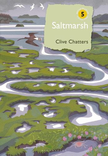 Паперова книга «Saltmarsh», автор Клайв Чаттерс - фото №1