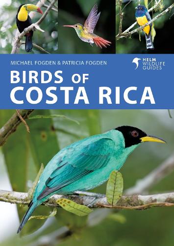 Паперова книга «Birds of Costa Rica», авторів Майкл Фогден, Патриція Фогден - фото №1