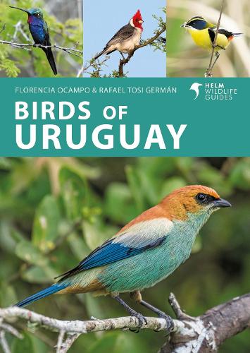 Бумажная книга «Birds of Uruguay», авторов Флоренсия Окампо, Рафаэль Тоси Герман - фото №1