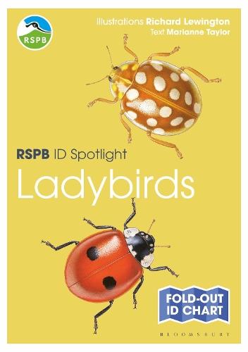 Бумажная книга «RSPB ID Spotlight - Ladybirds» - фото №1