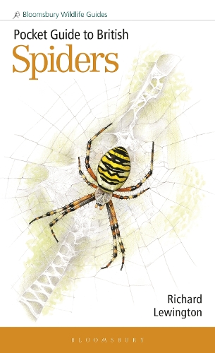 Бумажная книга «Pocket Guide to British Spiders», автор Ричард Льюингтон - фото №1