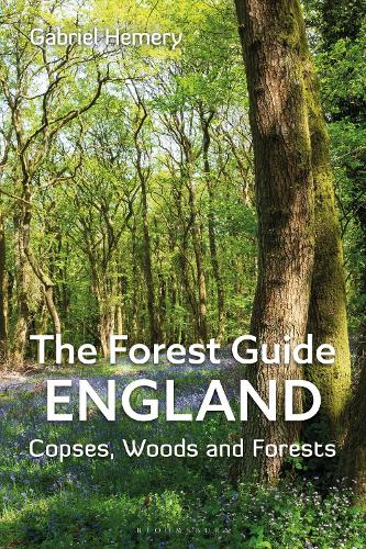 Паперова книга «The Forest Guide: England: Copses, Woods and Forests of England», автор Габріель Хемері - фото №1