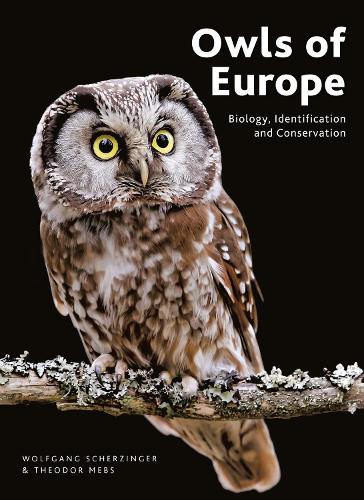 Бумажная книга «Owls of Europe: Biology, Identification and Conservation», авторов Теодор Мебс, Вольфганг Шерцингер - фото №1
