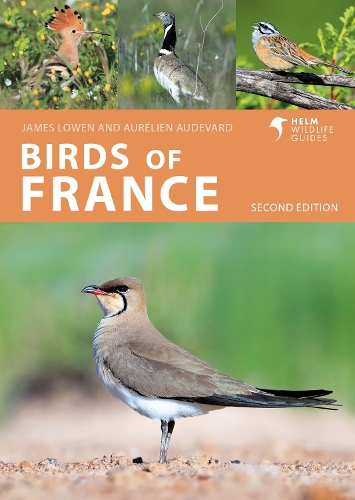 Паперова книга «Birds of France», авторів Орельєн Одевард, Джеймс Ловен - фото №1