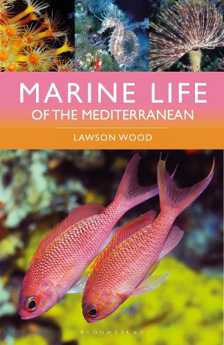 Паперова книга «Marine Life of the Mediterranean» - фото №1