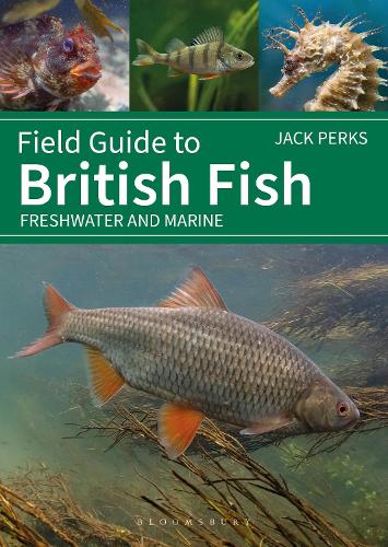 Бумажная книга «Field Guide to British Fish: Freshwater and Marine», автор Джек Перкс - фото №1