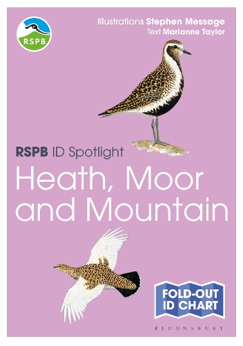 Бумажная книга «RSPB ID Spotlight - Birds of Heath, Moor and Mountain» - фото №1