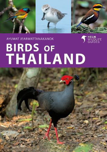 Бумажная книга «Birds of Thailand», автор Аюват Джеарваттанаканок - фото №1