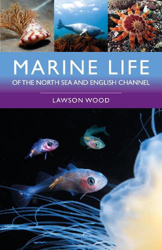 Бумажная книга «Marine Life of the North Sea and English Channel», автор Лоусон Вуд - фото №1