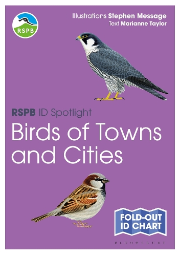 Бумажная книга «RSPB ID Spotlight - Birds of Towns and Cities», автор Марианна Тейлор - фото №1