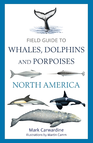 Бумажная книга «Field Guide to Whales, Dolphins and Porpoises of North America», автор Марк Карвардин - фото №1
