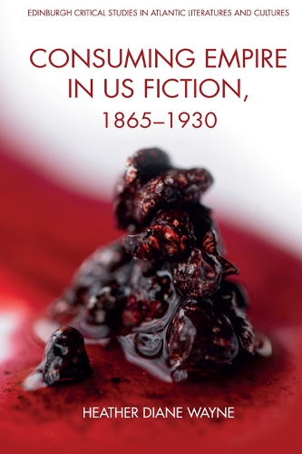 Бумажная книга «Consuming Empire in U.S. Fiction, 1865 1930», автор Хизер Уэйн - фото №1
