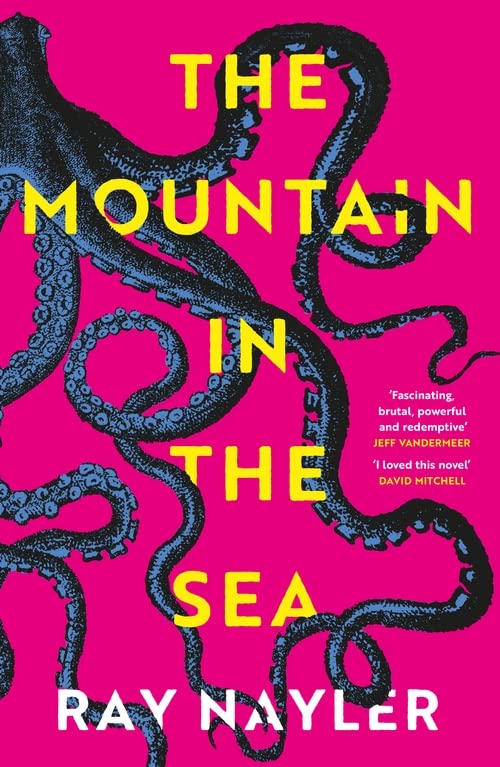 Паперова книга «The Mountain in the Sea», автор Рей Нейлер - фото №1