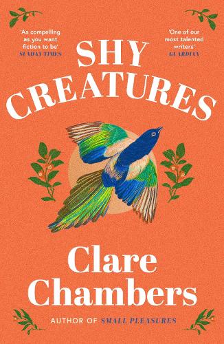 Бумажная книга «Shy Creatures: From the author of bestselling sensation Small Pleasures», автор Клэр Чемберс - фото №1