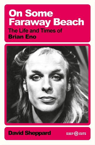 Паперова книга «On Some Faraway Beach: The Life and Times of Brian Eno» - фото №1