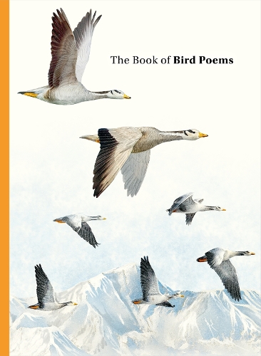 Бумажная книга «The Book of Bird Poems», автор Ана Сэмпсон - фото №1