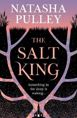 Паперова книга «The Salt King: An end of the world thriller, packed with dazzling wit and romance», автор Наташа Пуллі - фото №1
